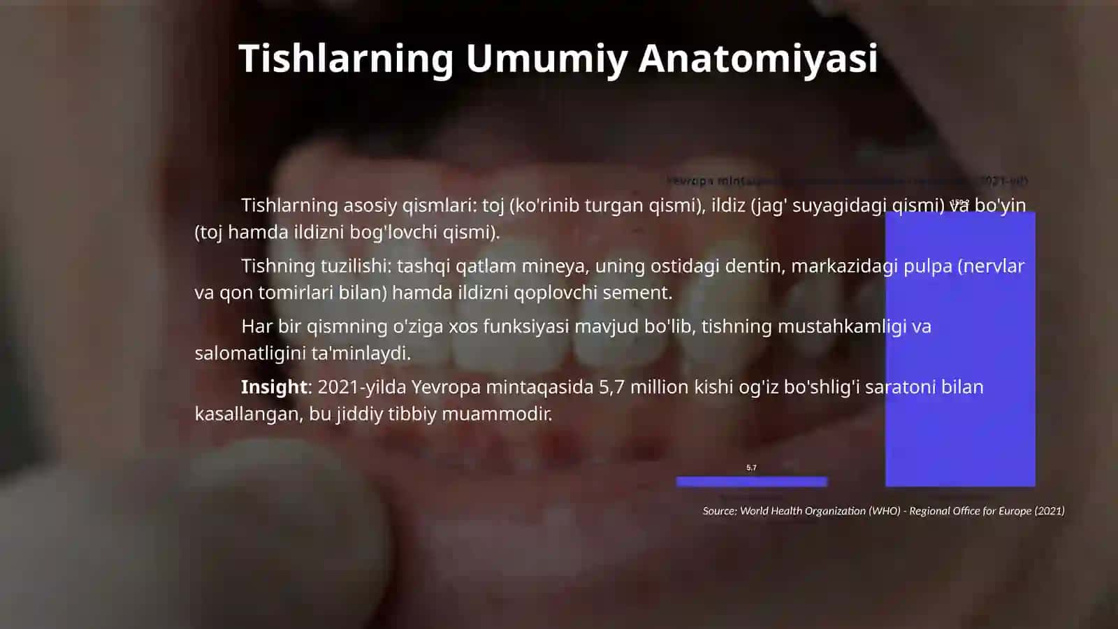 Stomotologiya kirish, tishlar haqida alohida tavsif rasmlari qismlari bilan 4