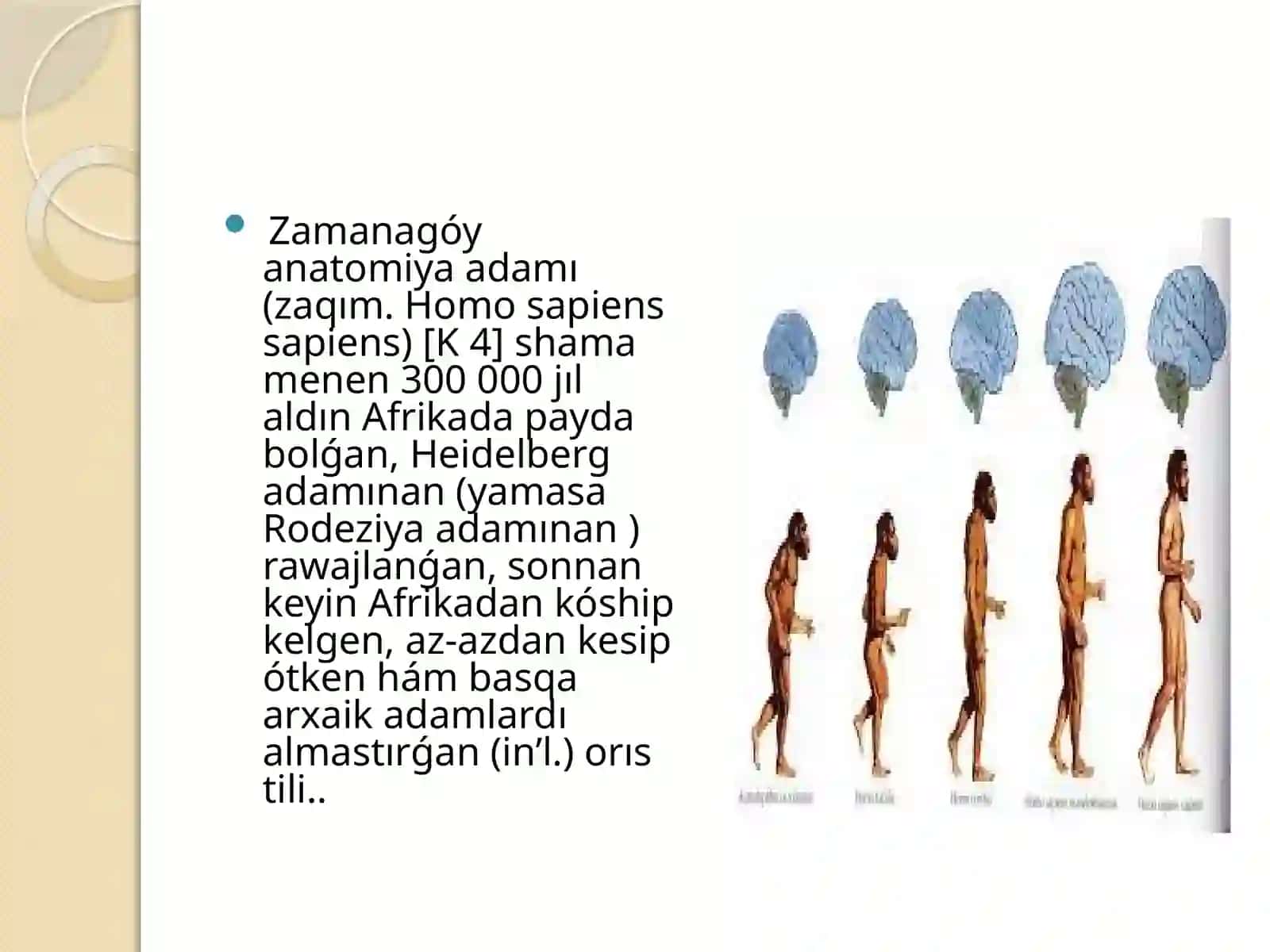 Tariyx Arxeologiya qanigeligi 4
