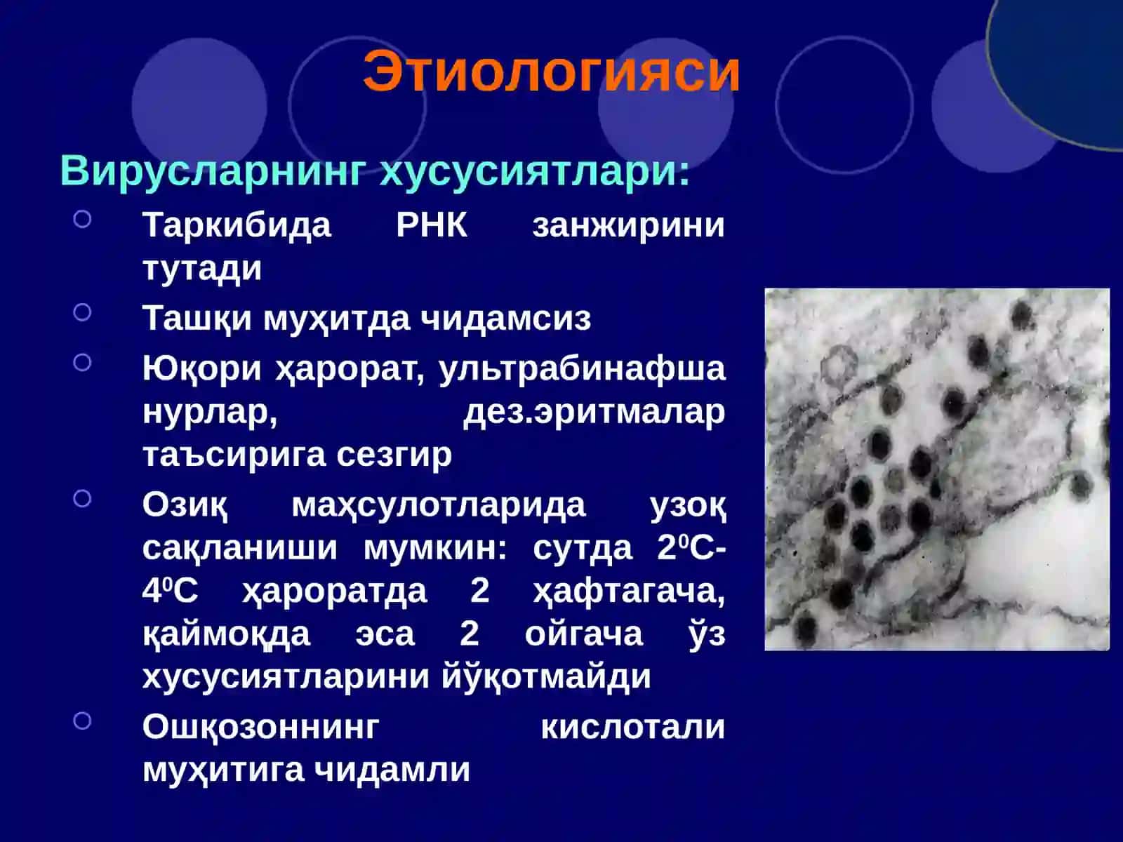 Кана энцефалити 4