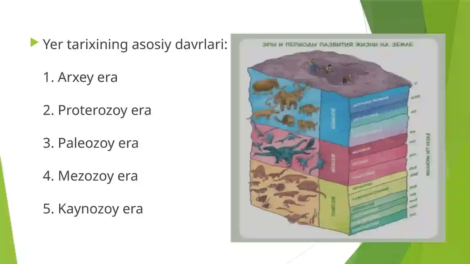 Evolyutsiya fanidan mustaqil ish 4