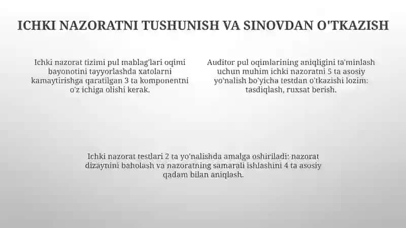 Auditorlik Maqsadlari va Xavflarni Baholash 4