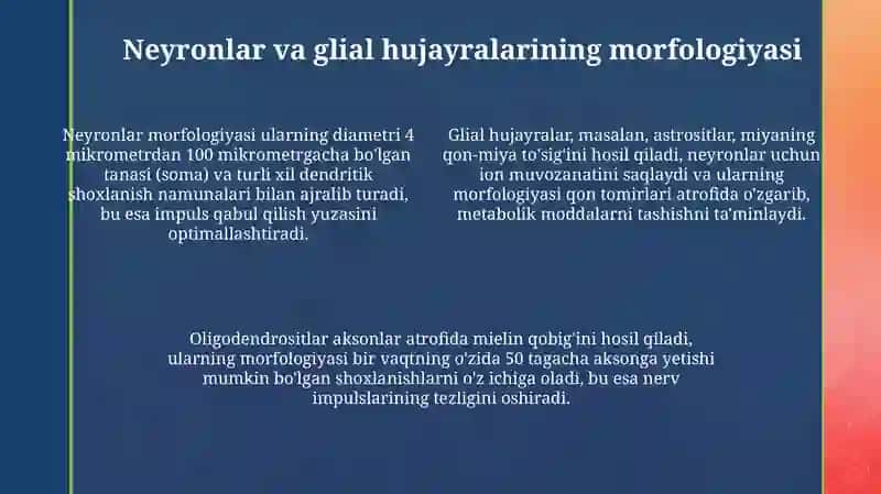 Nerv tizimining marfalogiyasini òrganish 4