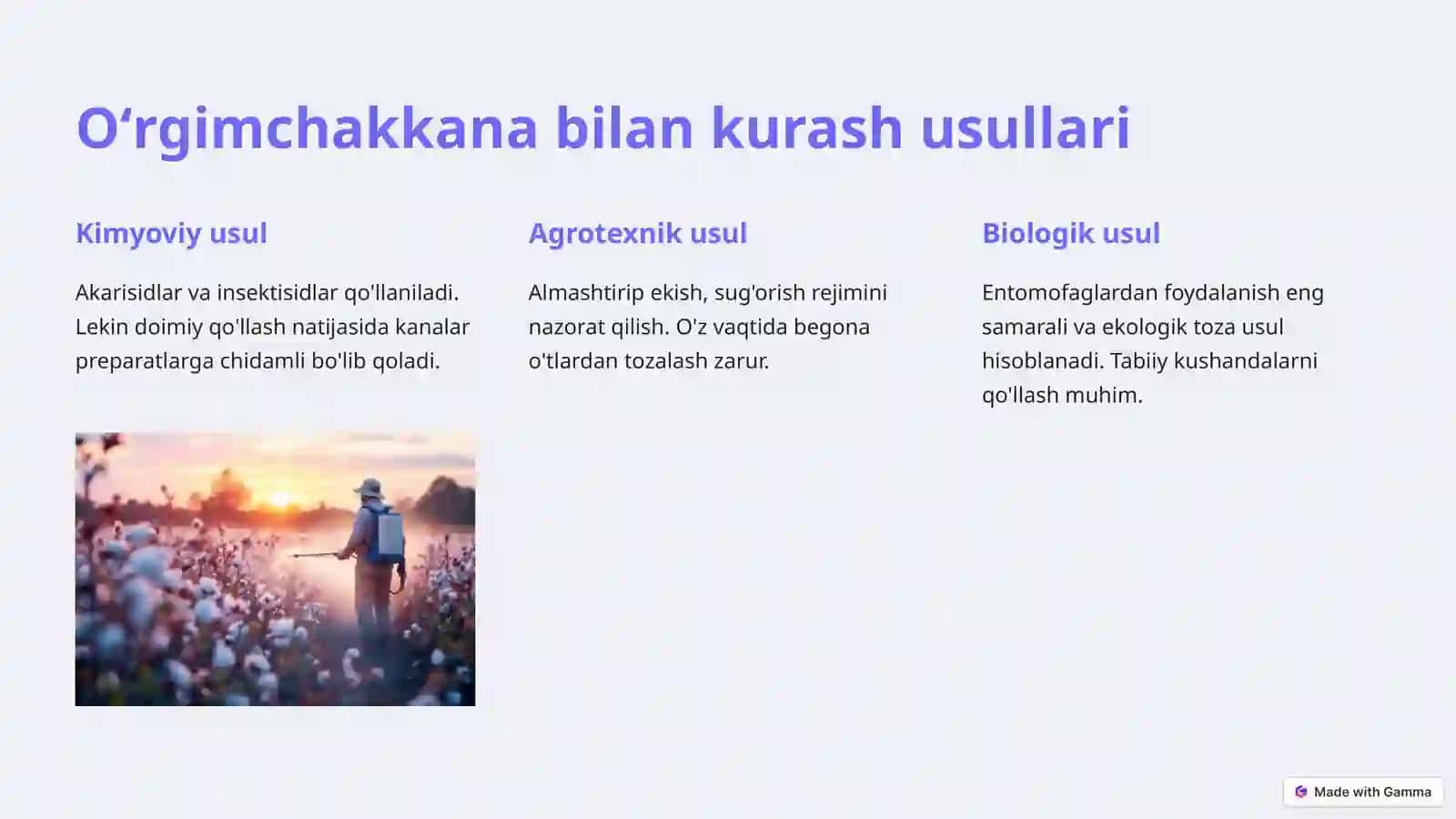 Ğôzadagi oʻrgimchakkana va ularni entomofaglarini qishloq xoʻjalikda qôllash 4