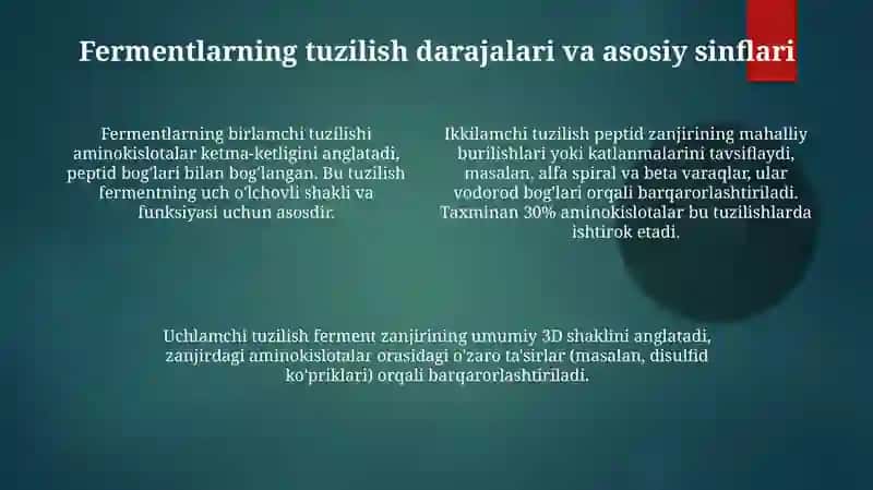 Fermentlar tuzilishi klassifikatsiyasi 4