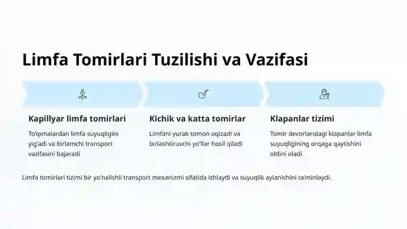 Limfa Tizimining Umumiy Qurilishi 4