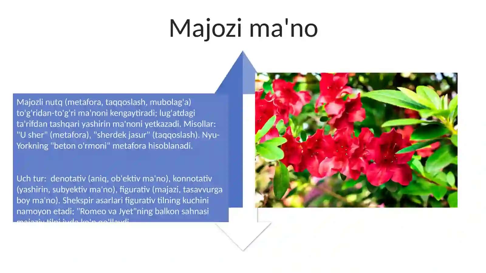 Sifatning ma'no turlari 4