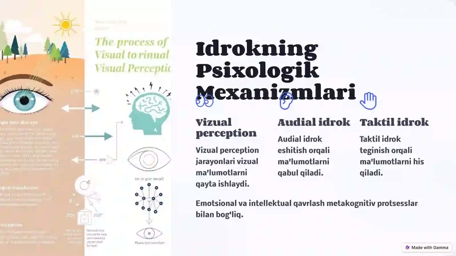 Idrokning Kognitiv Nazariyasi Asosiy Tushunchalar 4