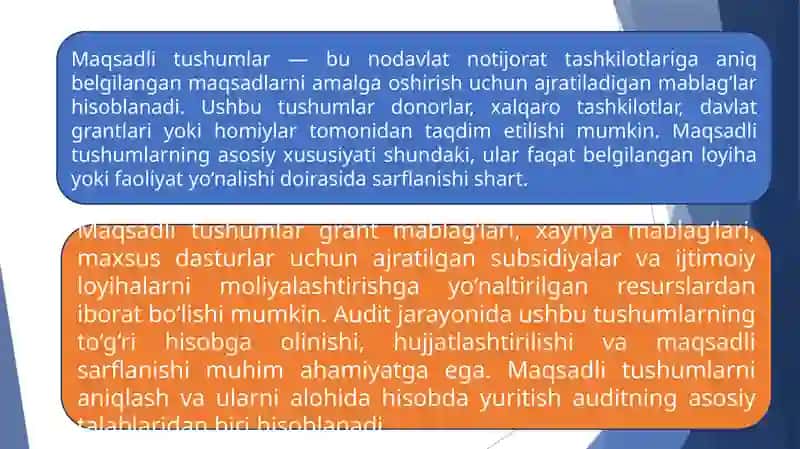 Nodavlat notijorat tashkilotlarida maqsadli tushumlar auditini o’tkazish 4