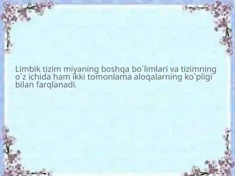 Limbiktizim 4