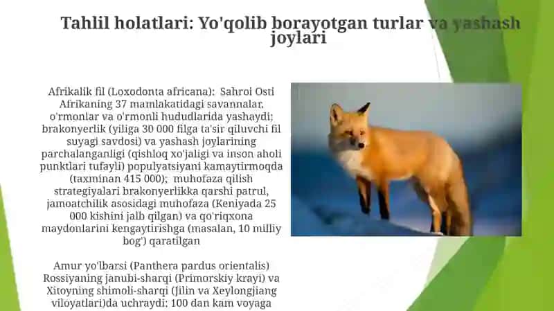 Migratsiya naqshlari va mavsumiy ko'chishlar 4