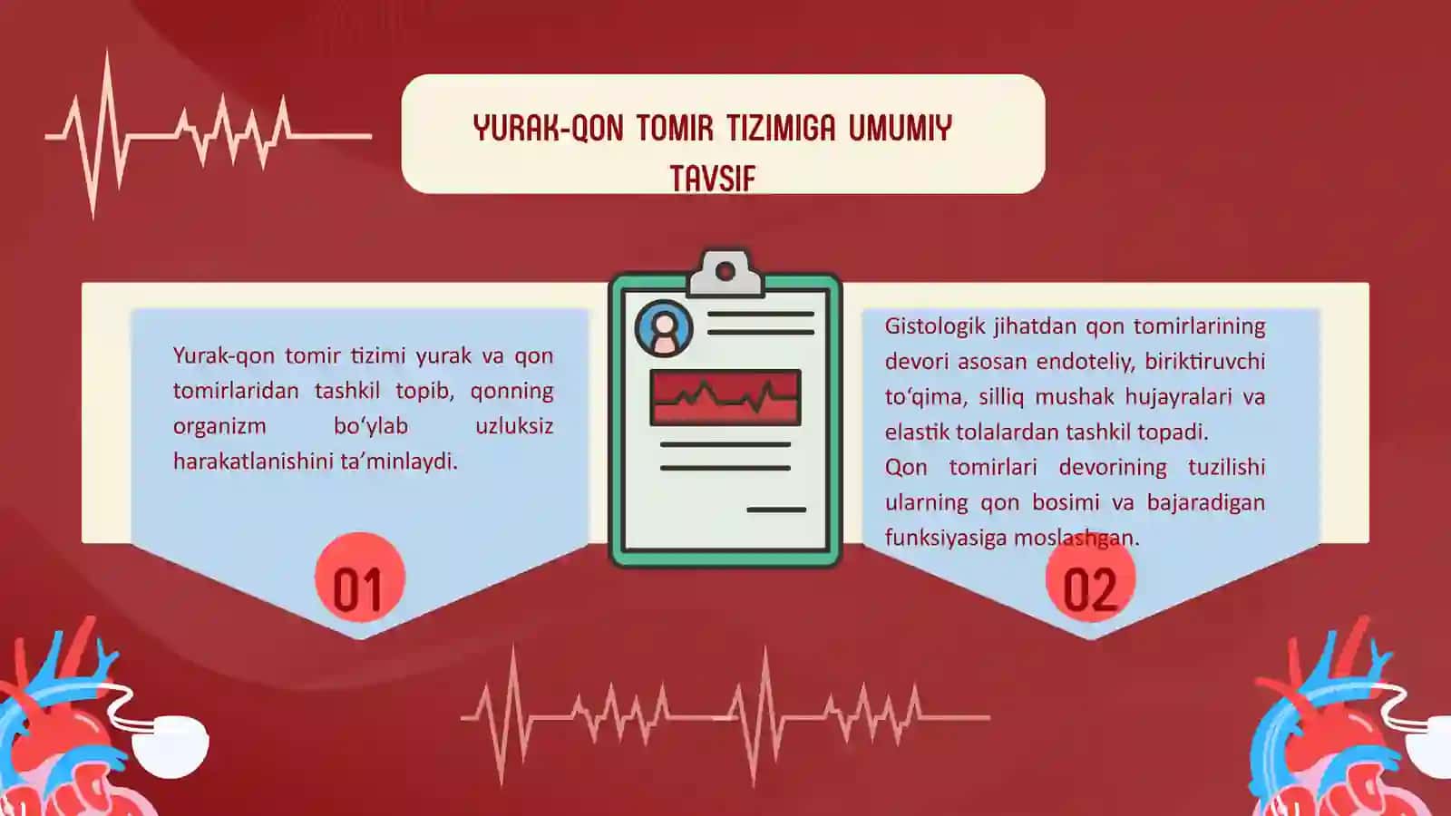 Qon tomirlar tuzilishi 4