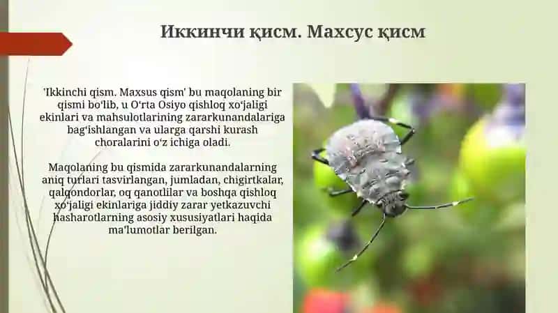 Hashoratlardan qandalalar turkumi 4