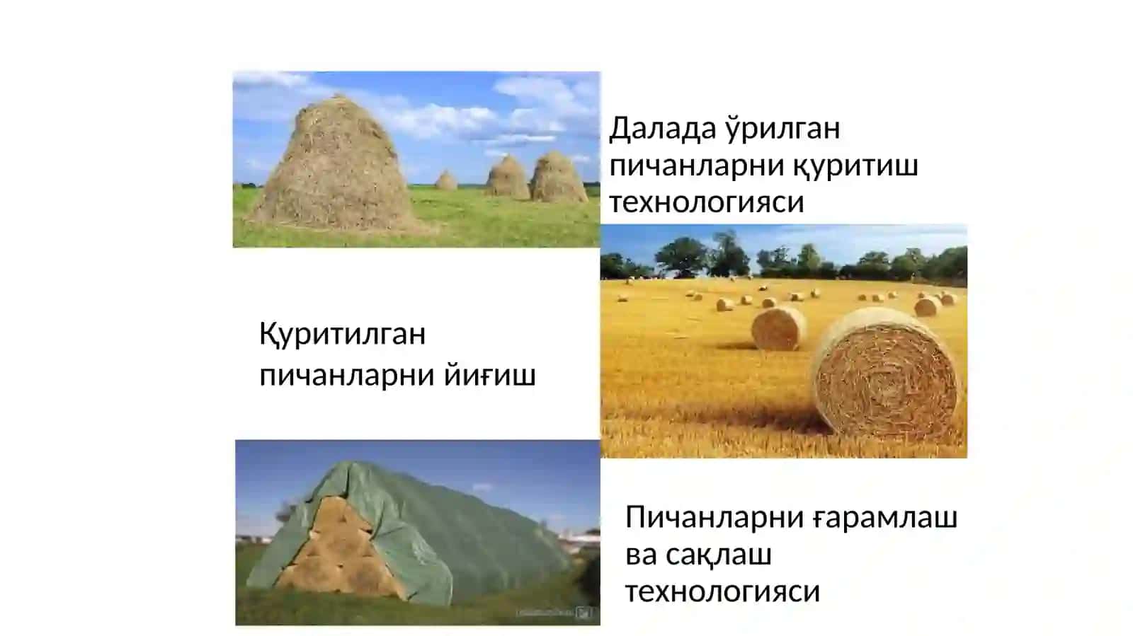 Озуқалар классификацияси 4