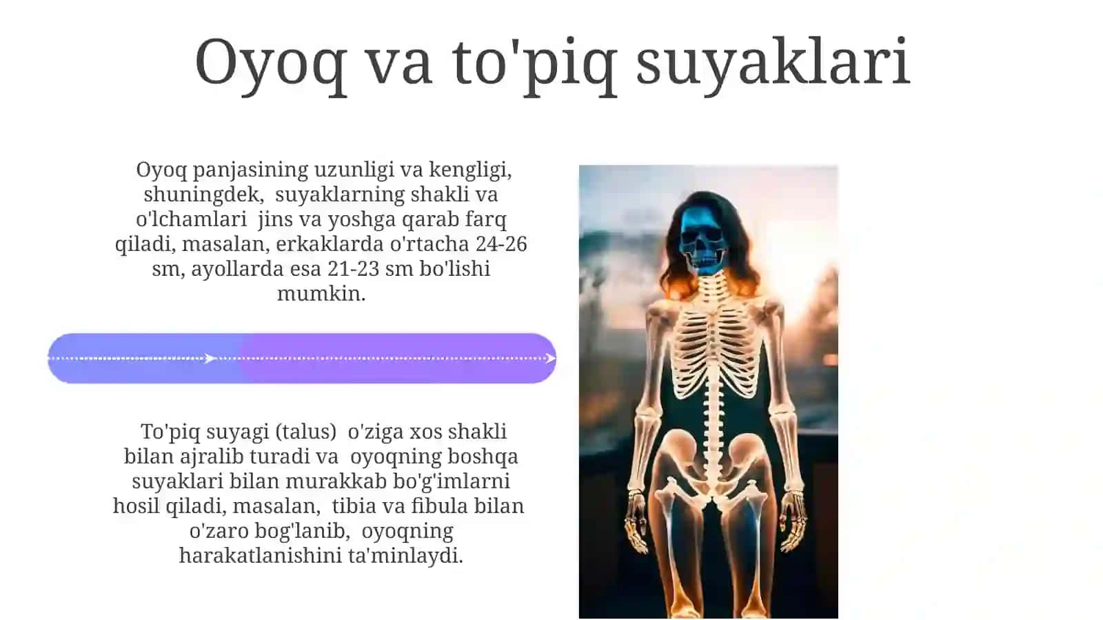 Kallasuyaklarininigrentgenoanatomiyasi.Kalasuyagunuyoshivajinsiytafovutlari 4