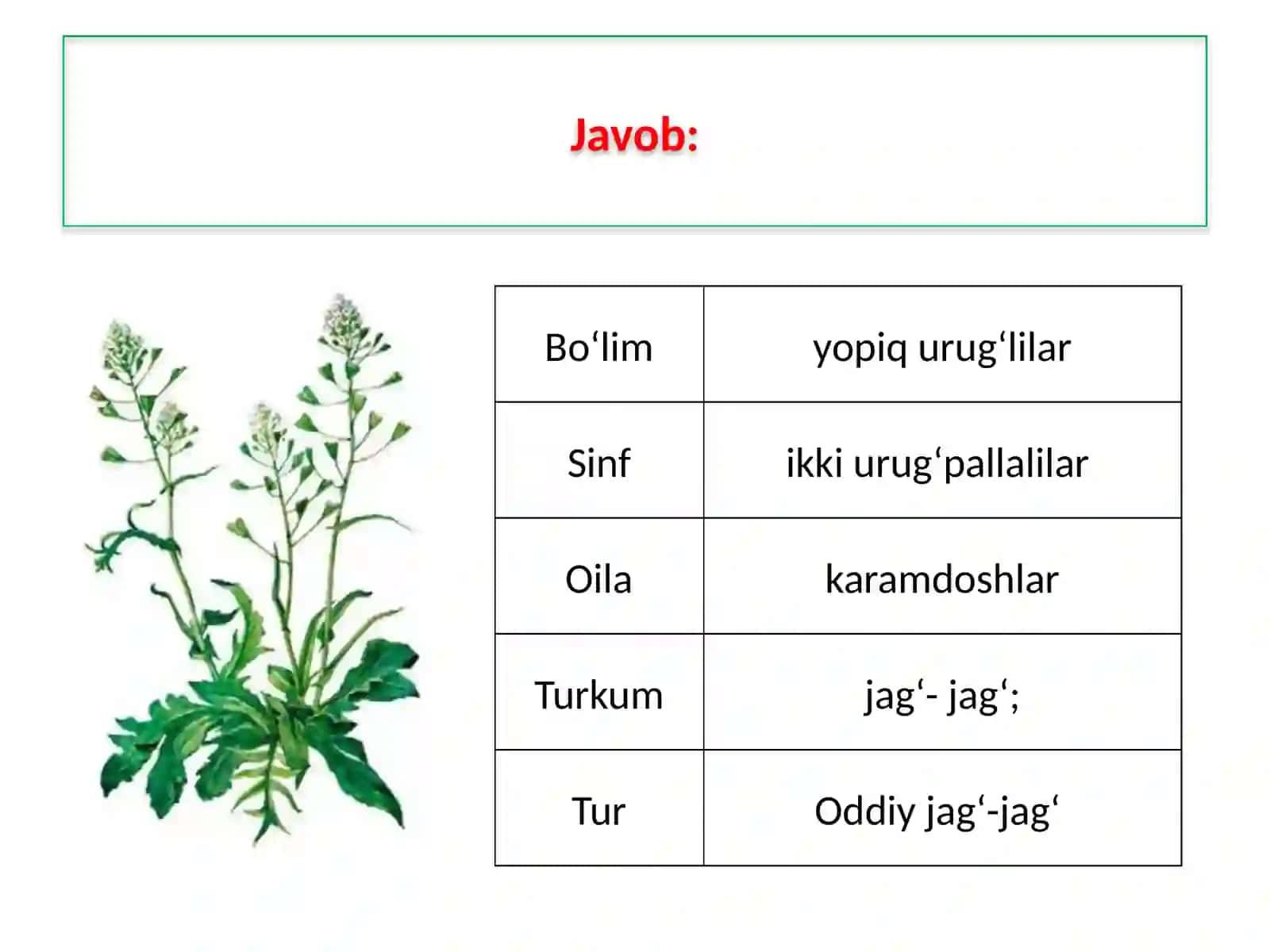 O‘simlikvahayvonlarning o‘xshash va farqli jihatlarini aniqlash topshiriqlari 4
