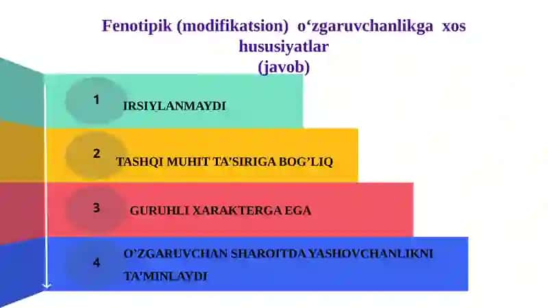 Mutatsion (genotipik) o‘zgaruvchanlik 4