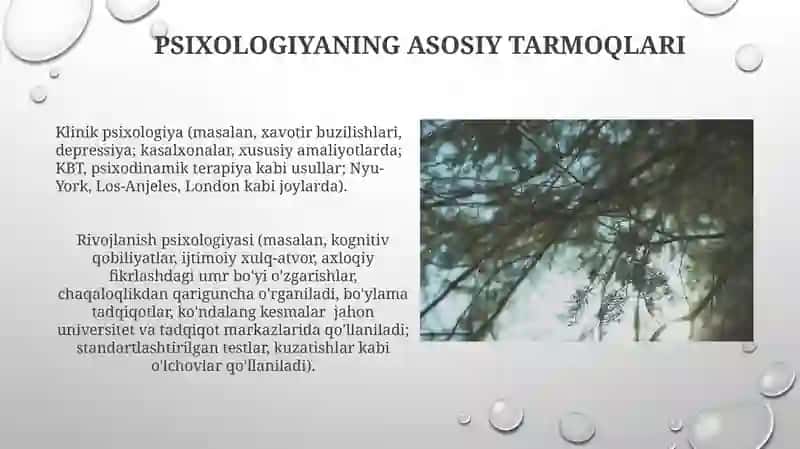 Psixologiya tarmoqlari va psixolog kasbiy faoliyati 4