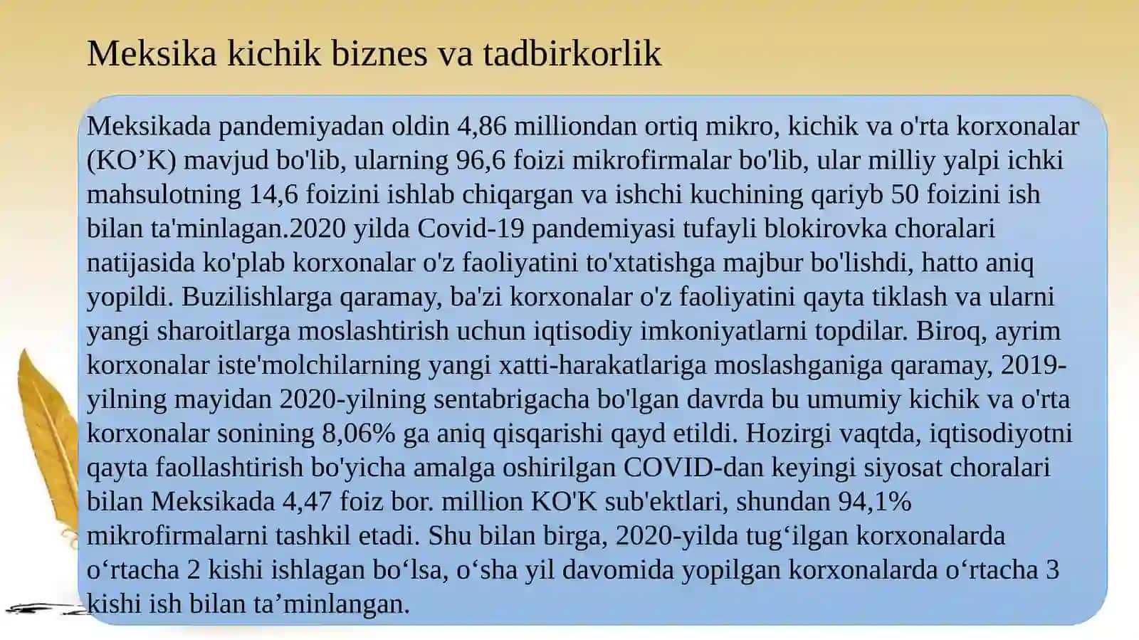 Meksikadakichikbiznesvatadbirkorlikhaqida 4