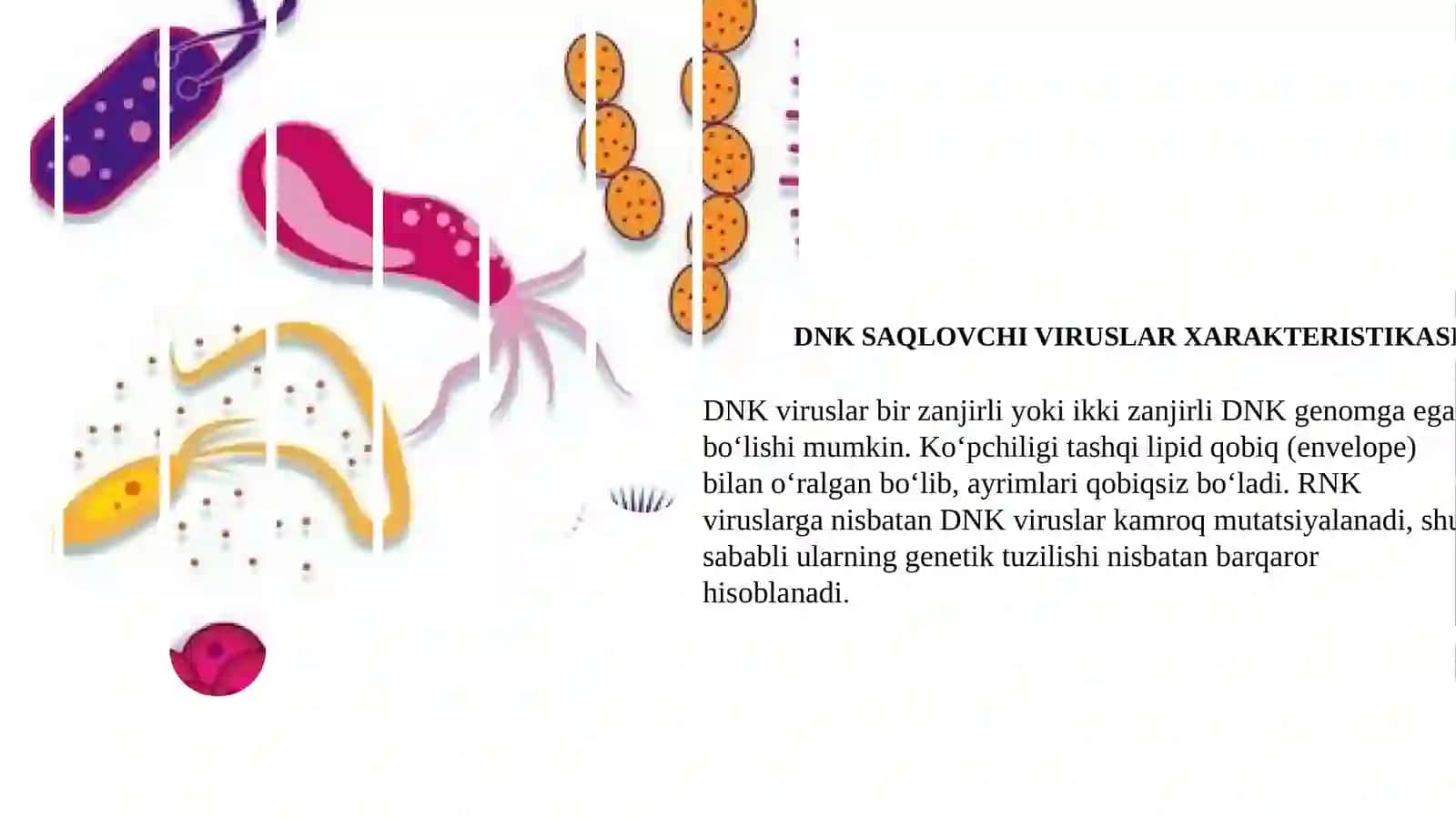 DNK saqlovchi viruslar keltirib chiqaruvchi yuqimli kasallik qo’zg’atuvchilari; gepatit viruslari B, C, D, E, G, TTV 4