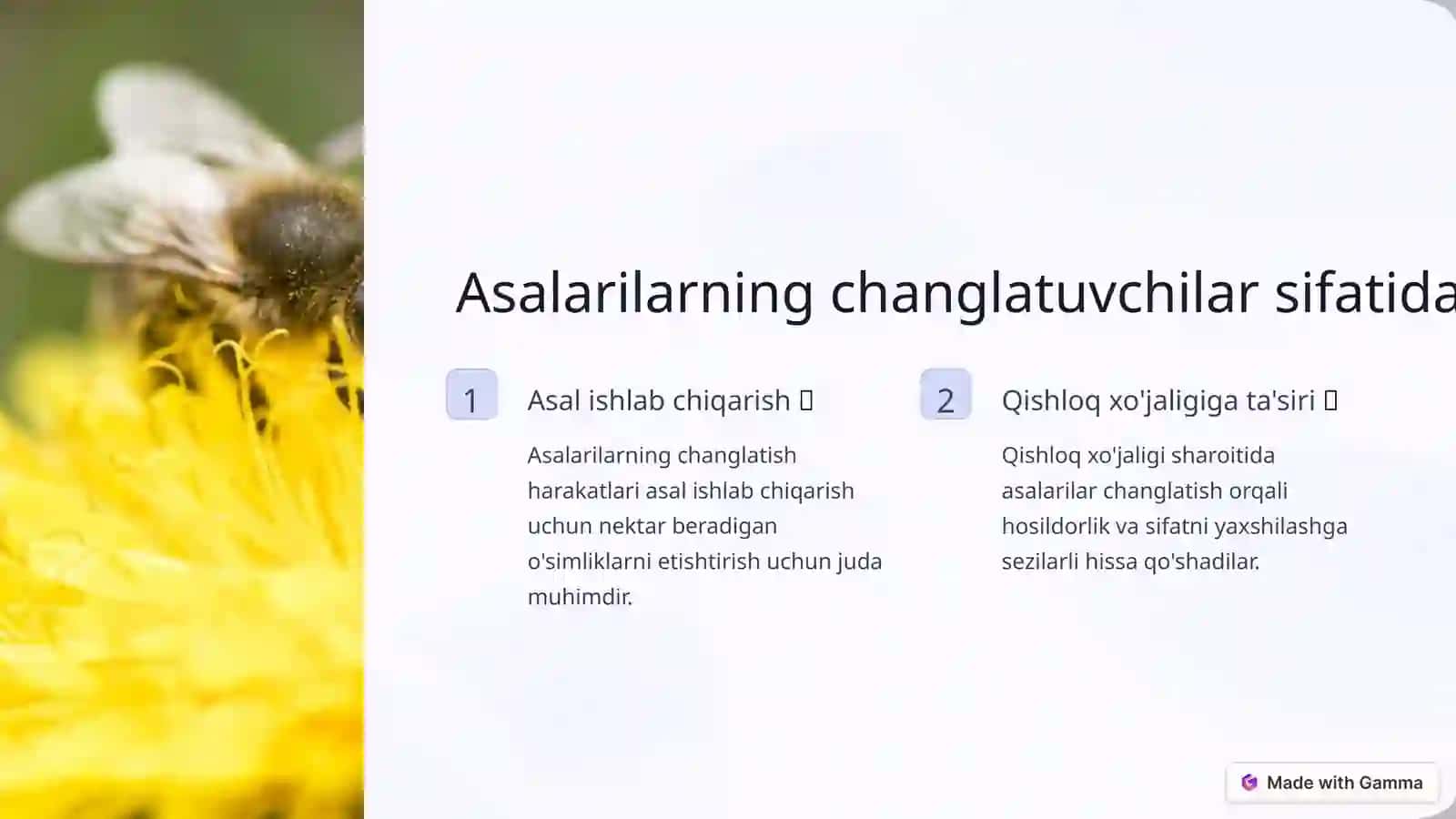 Changlovchilar bilan tanishtirish 4