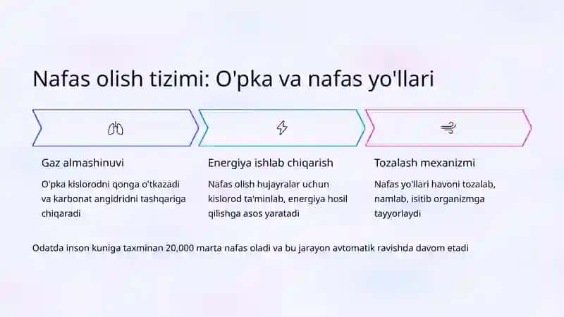 Organlar tizimlari va ularning umumiy funksiyalari 4