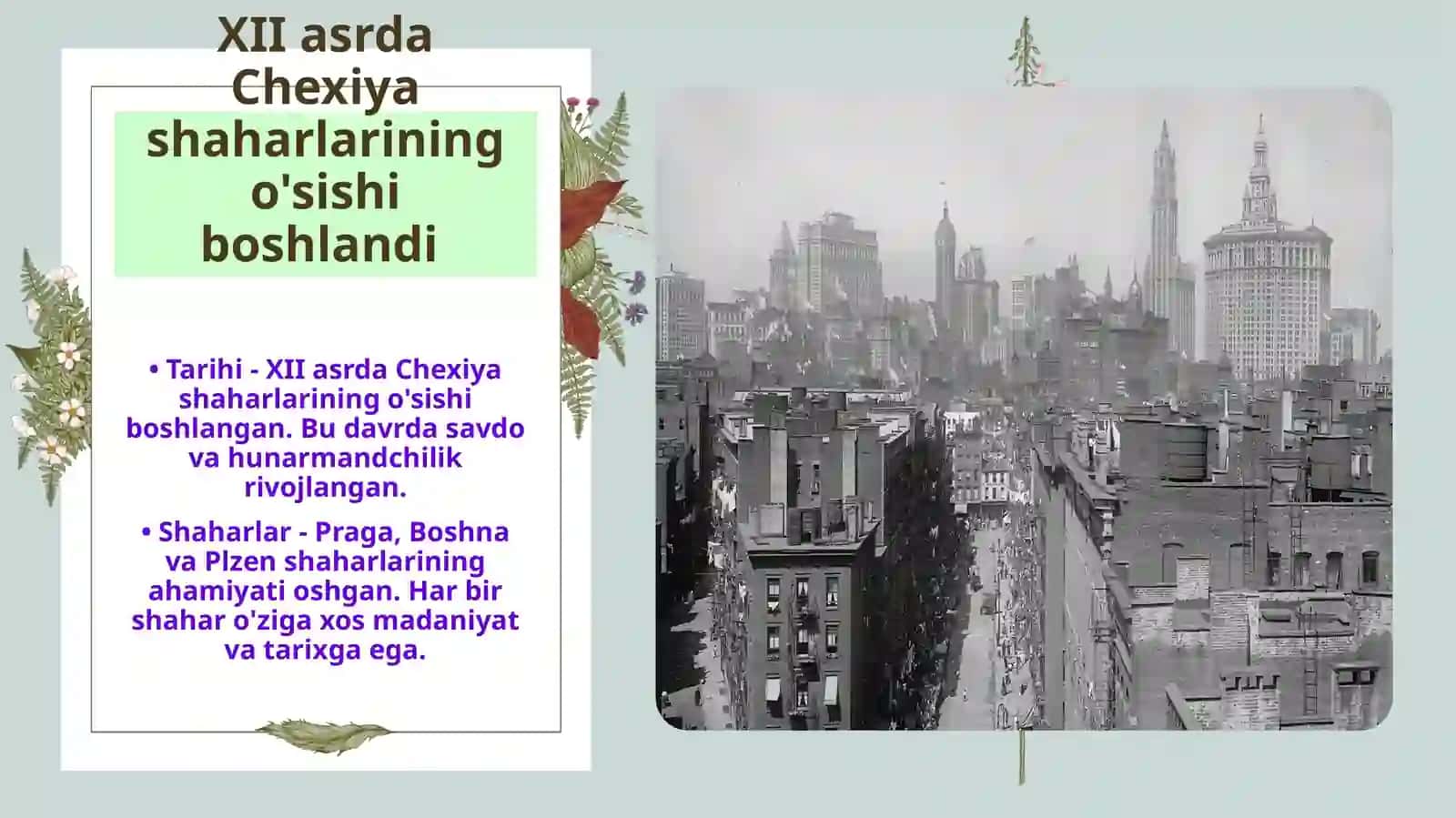 XI-XV asrlarda Chexiyada jahon tarixi 4