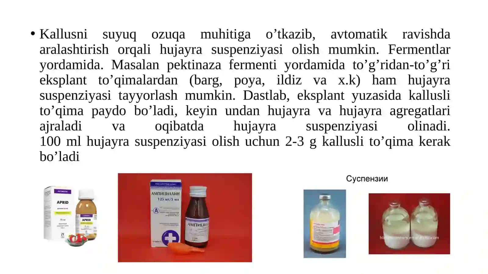 Hujayra suspenziyasi 4