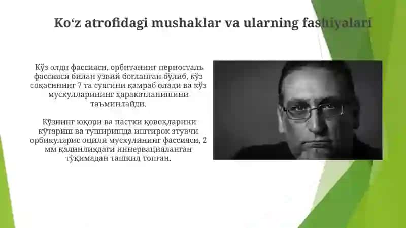 Bosh mushaklari 4