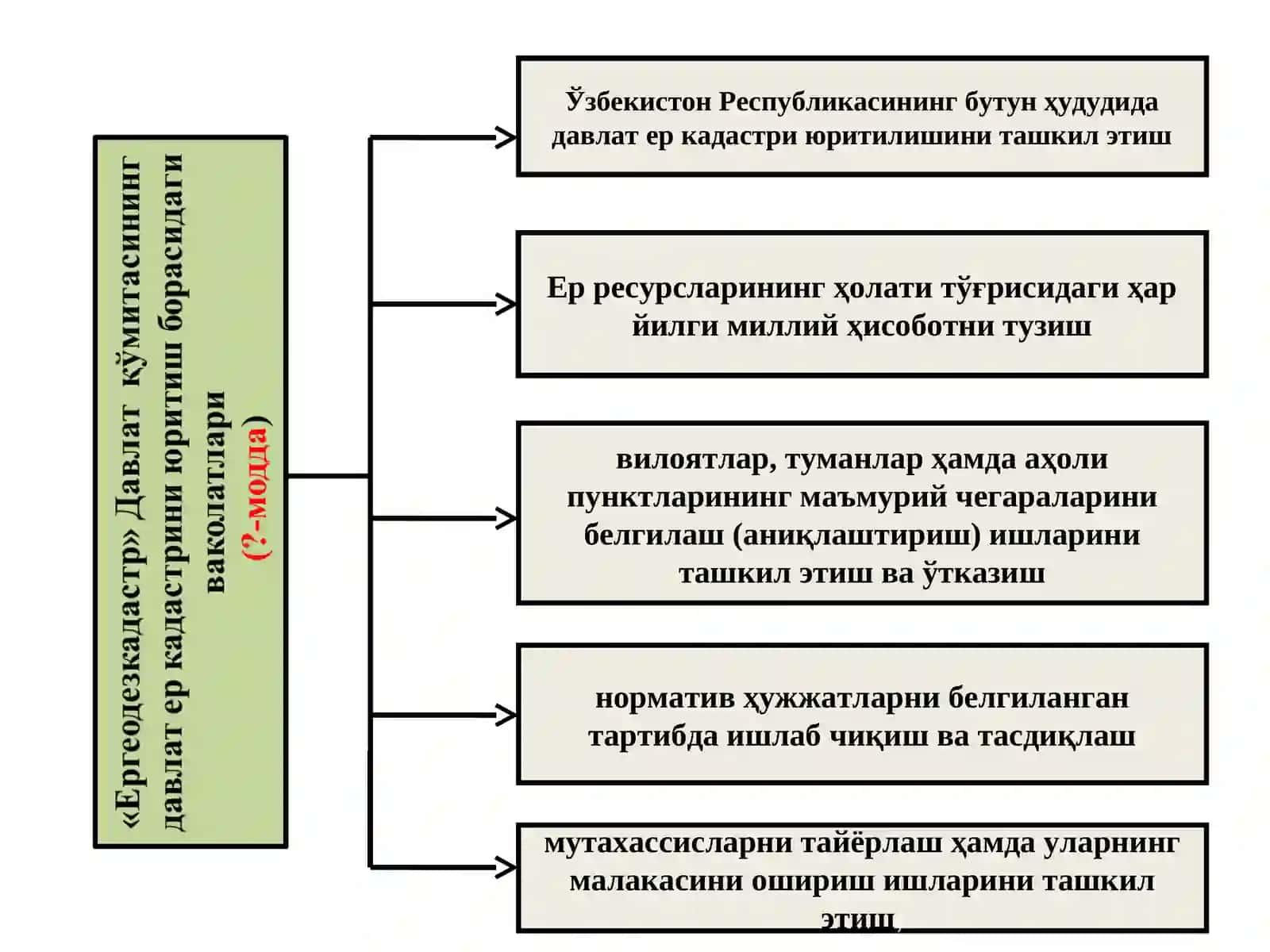 Ер кадастрини юритувчи органлар ва уларнинг ваколатлари 4