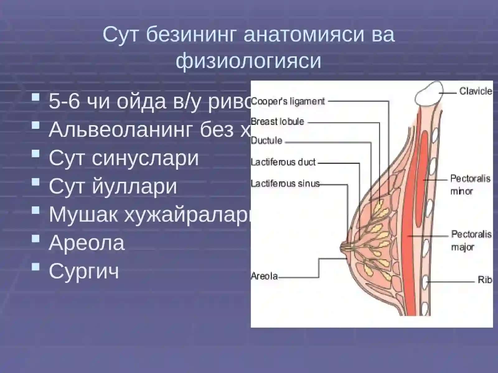 Кукрак сути билан боқиш 4