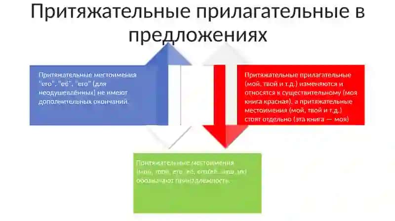 Окончания притяжательных имен прилагательных 4