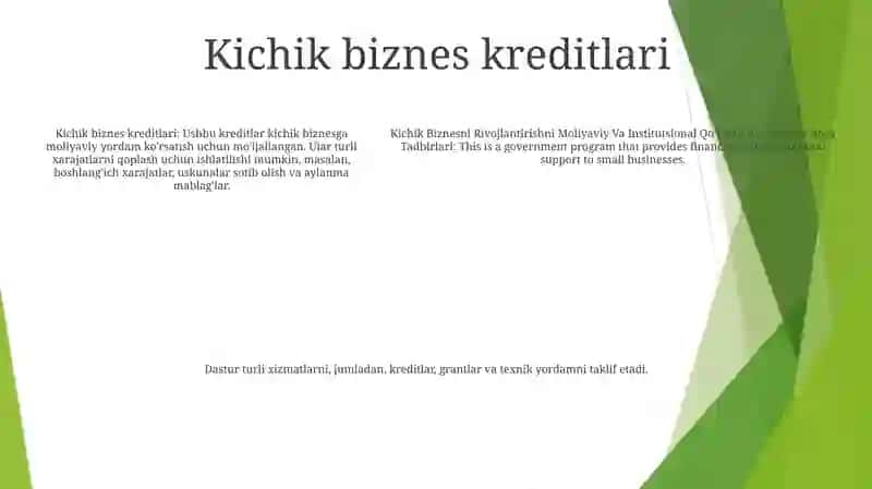 Kichik Biznesni Rivojlantirishni Moliyaviy Va Institutsional QoʼLlab Quvvatlash Chora Tadbirlari 4
