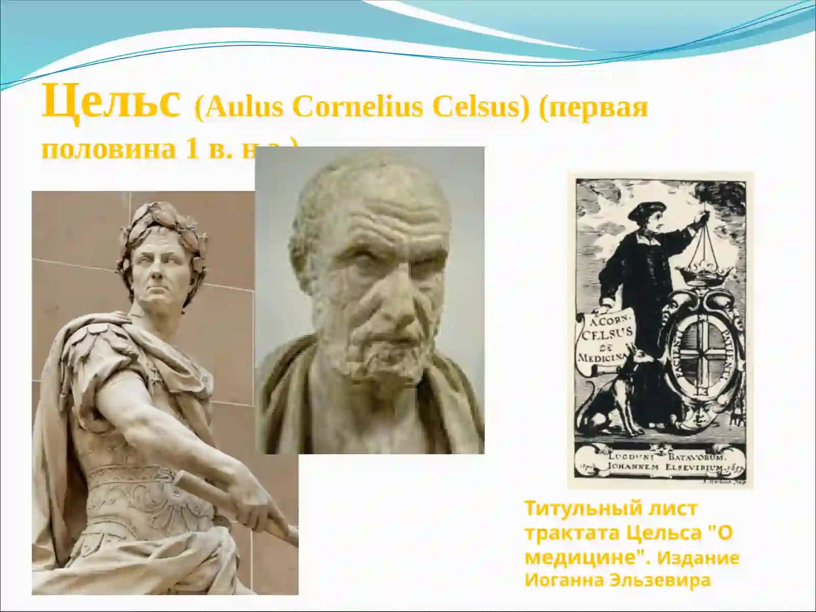 Терианатомияси патогистологияси ва физиологияси 4