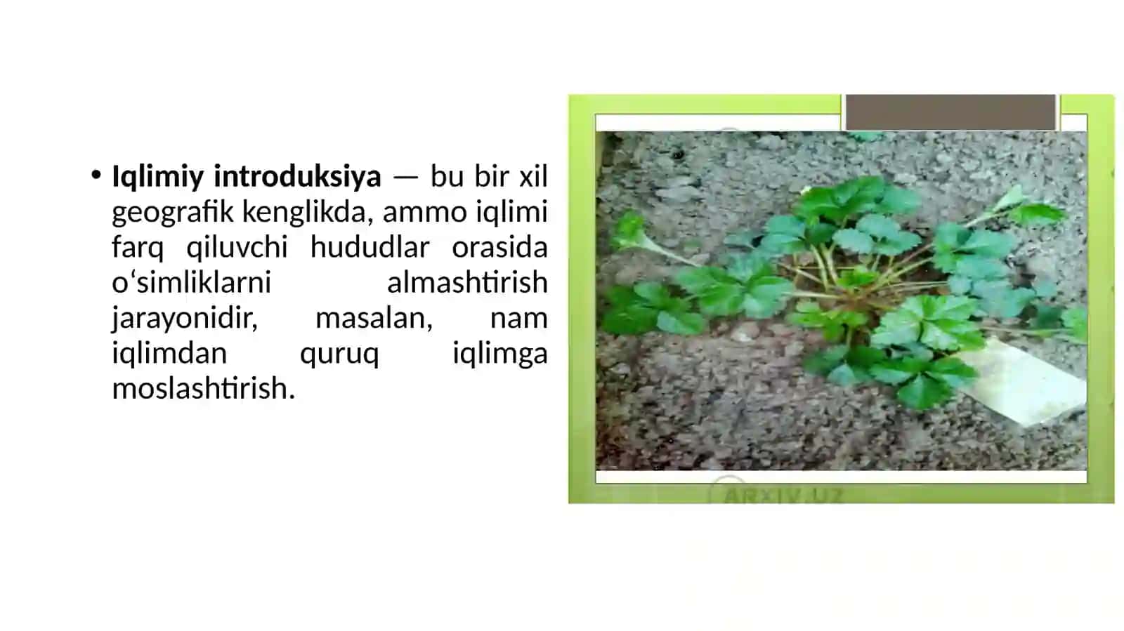 Introduktsiya usullari 4