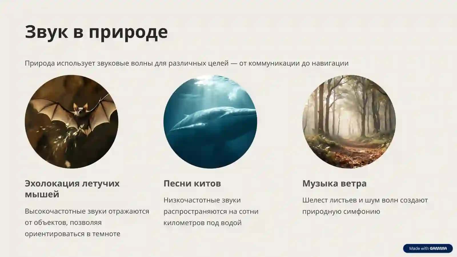 Звук и движение: Фундаментальные явления в естествознании 4
