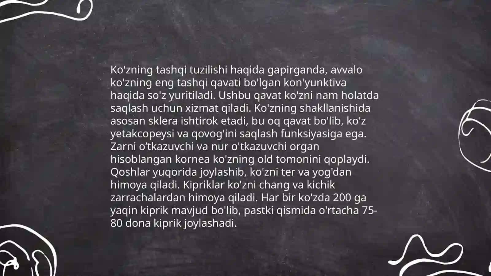 Ko‘ruv analizatorning funktsional va klinik anatomiyasi 4