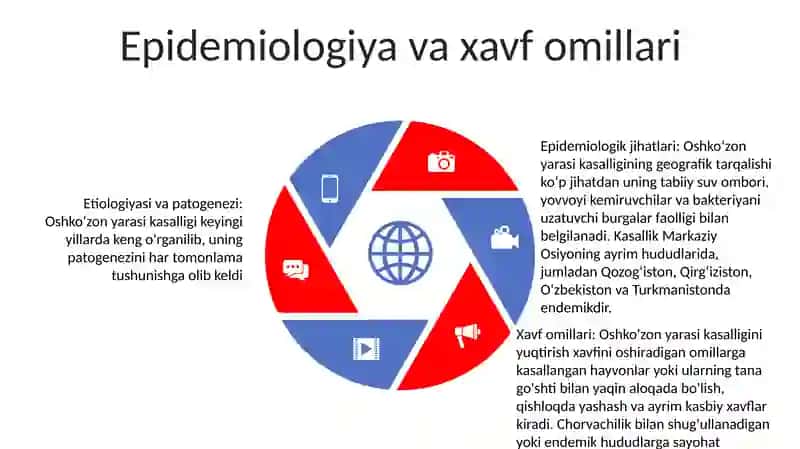 Oshqozon Yarasi Kasalligi: Etiologiyasi Va Patogenezidagi Zamonaviy Aspektlar 4