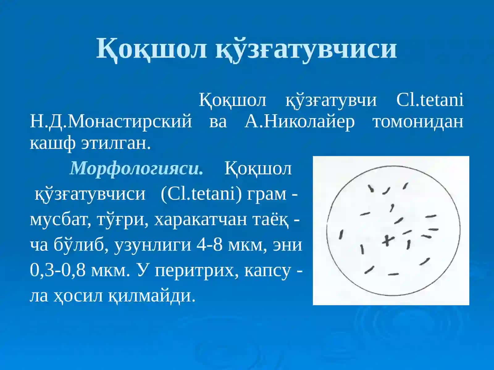 Патоген анаэроблар 4