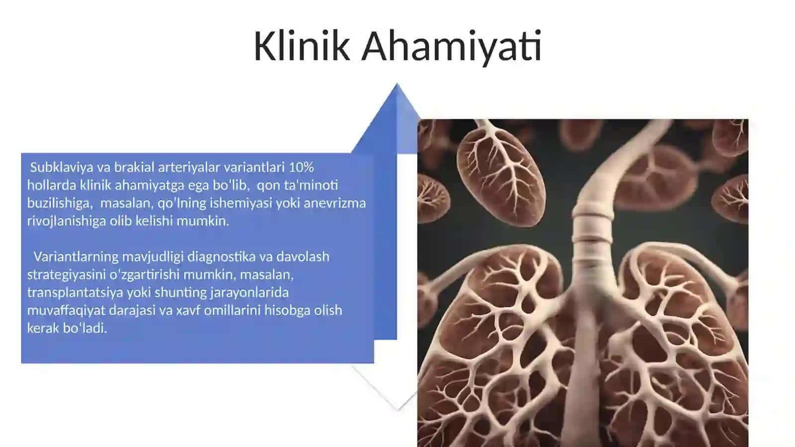 O'mrov osti va yelka arteriyalarining variant asoslari 4