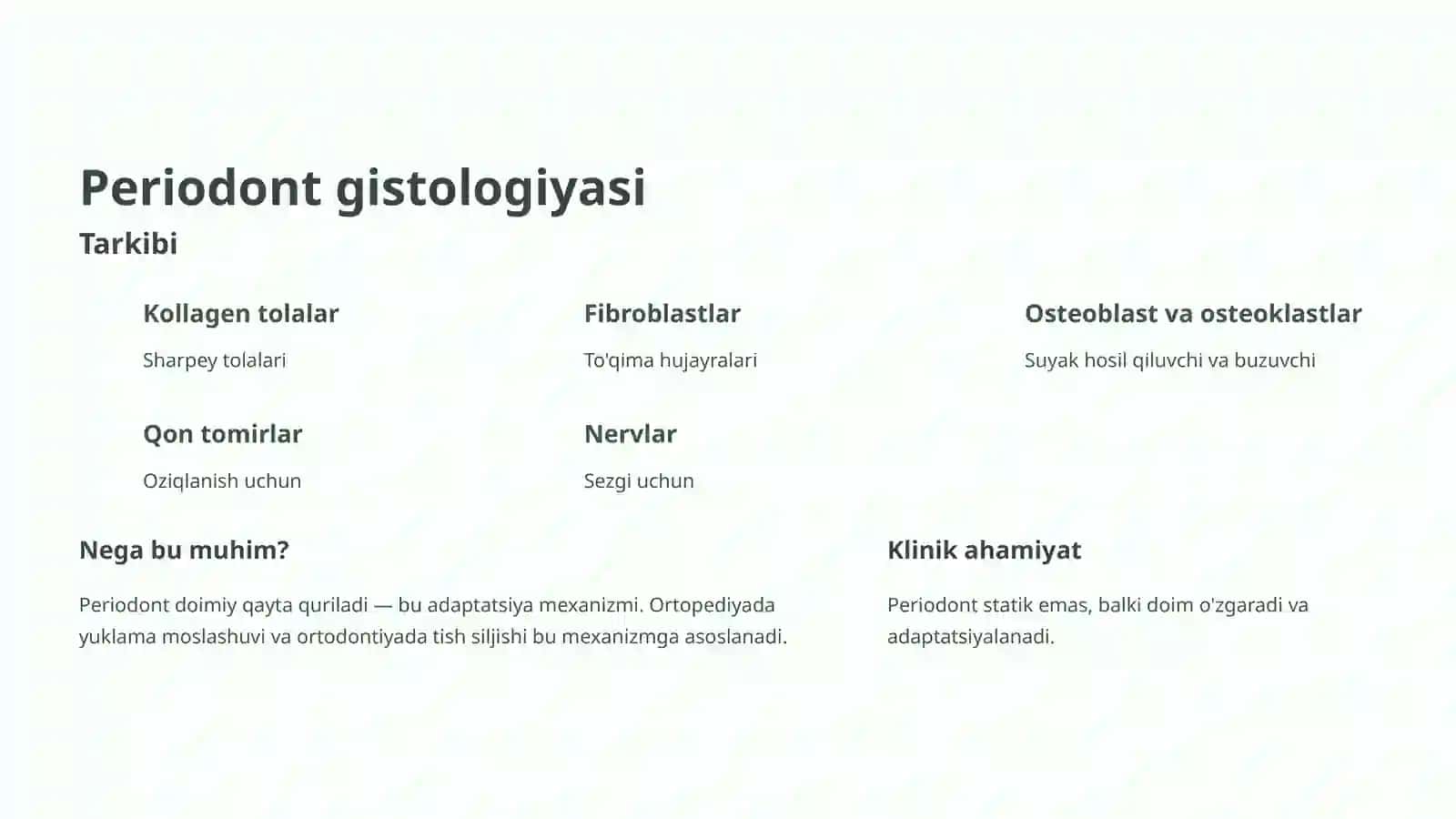 Periodont va parodont to'qimalari. Tish qatorlari barqarorligi 4