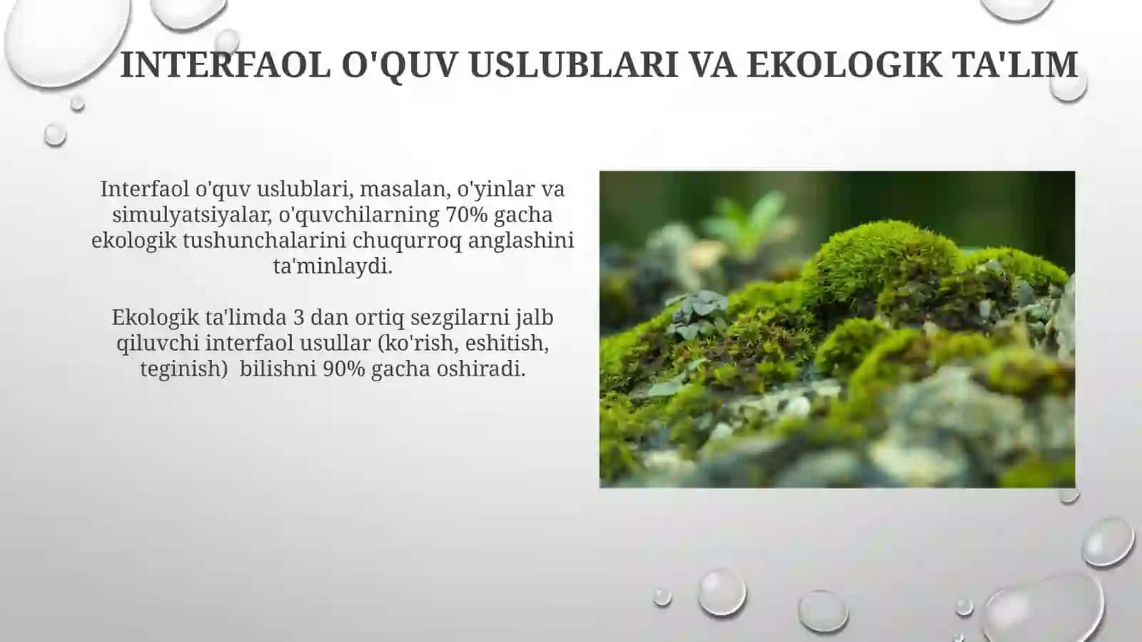 Tabiiy fanlar orqali ekologik omillarni tushunishni rivojlantirish 4