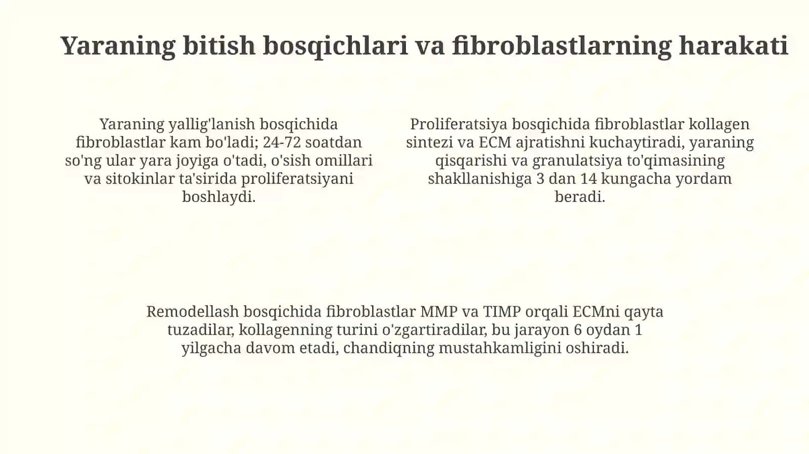 Fibroblastlarning jarohatning bitishi va chandiq hosil bo'lishidagiroli 4