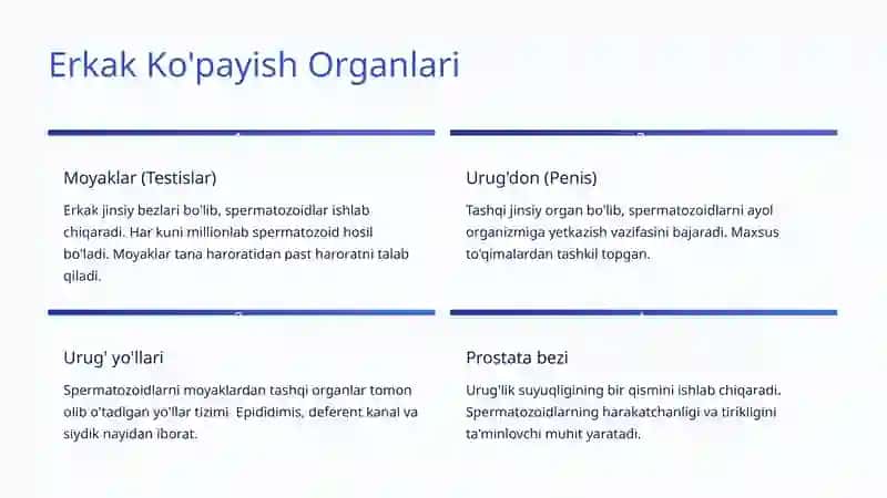 Ko'payish Tizimi 4