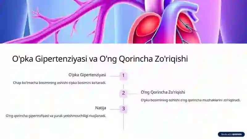 Mitral Klapan Torayishida Gemodinamikani Buzilishi va Kompensatsiya Mexanizmlari 4