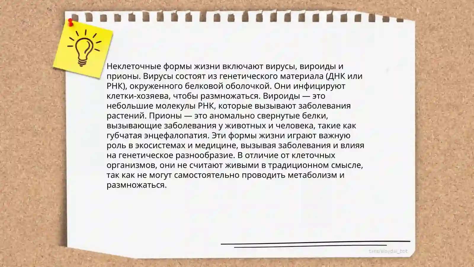 Основные формы жизни 4