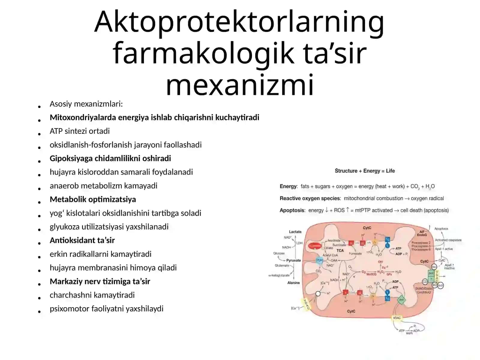 Aktoprotektorlar va ularni sport tibbiyotida qo'llanilishi 4