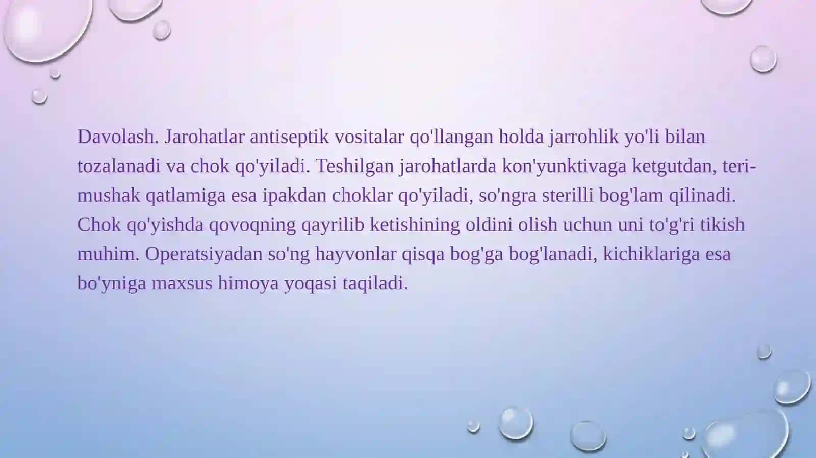 Hayvonlarda ko'z kasalliklari 4