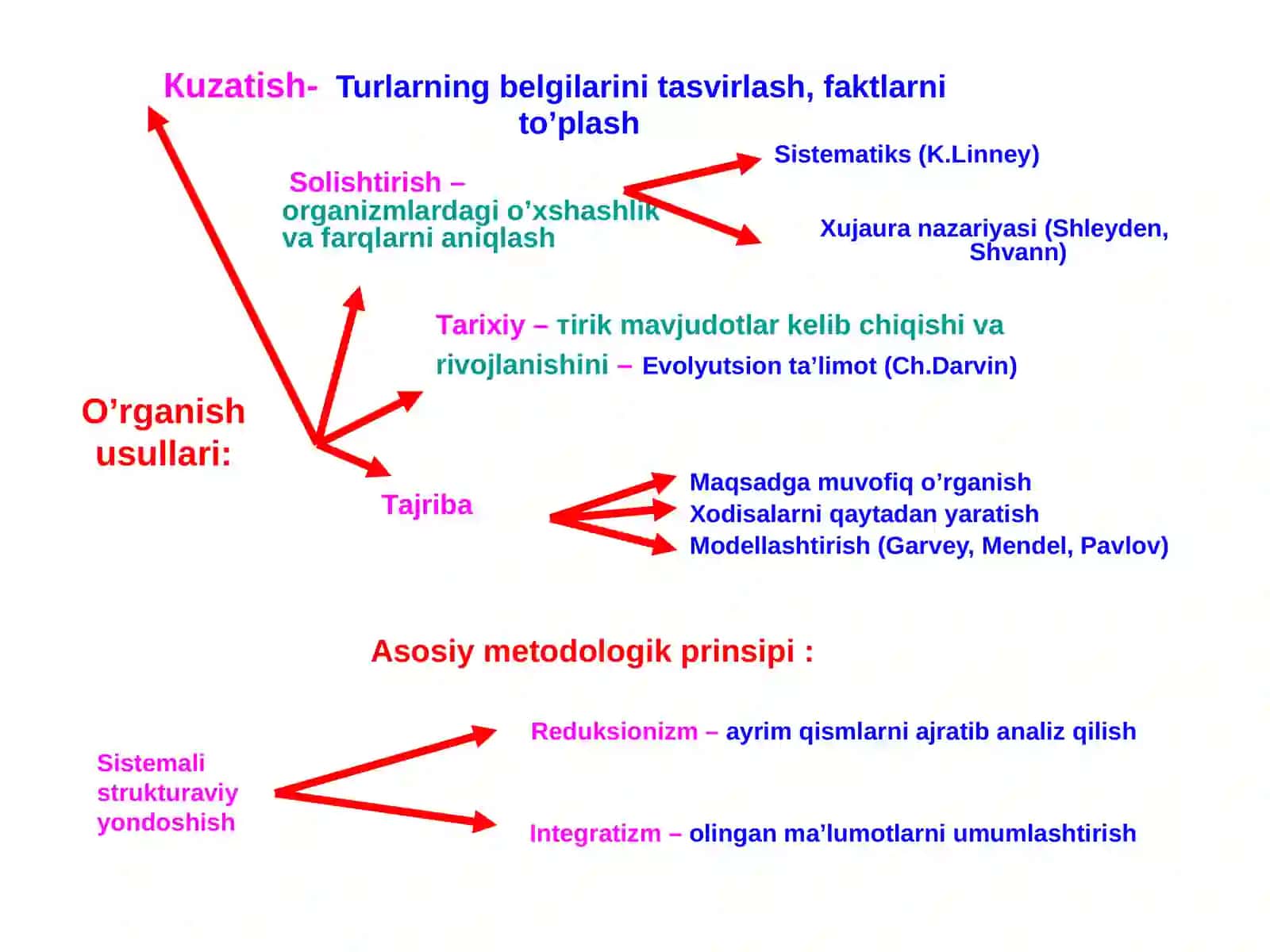Tibbiy ta’lim sistemasida biologiyaning tutgan o‘rni. Tibbiy biologiya faniga 4