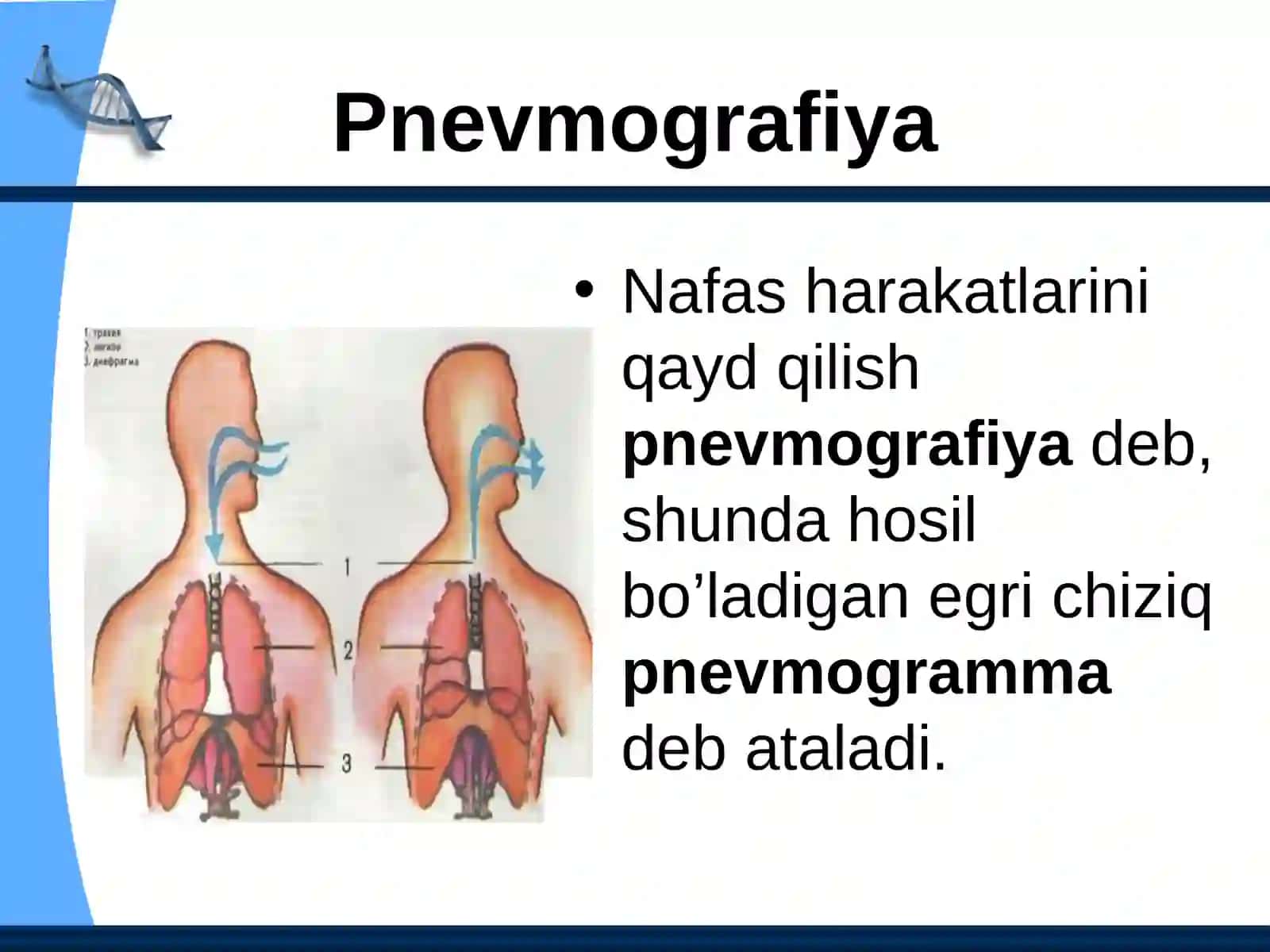 To`qimalarda gazlar diffuziyasi 4
