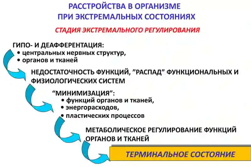 Терминальные состояния 4